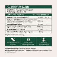 Kurkuma Curcumin Kapseln (1.000mg)